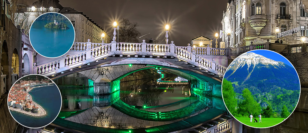 Free Business WordPress Theme